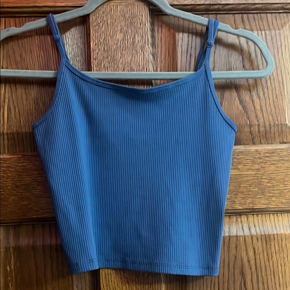 American Eagle Outfitters Blue Sleeveless Fitted Camisole